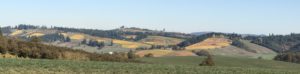 Panoramic view of vineyards and fields